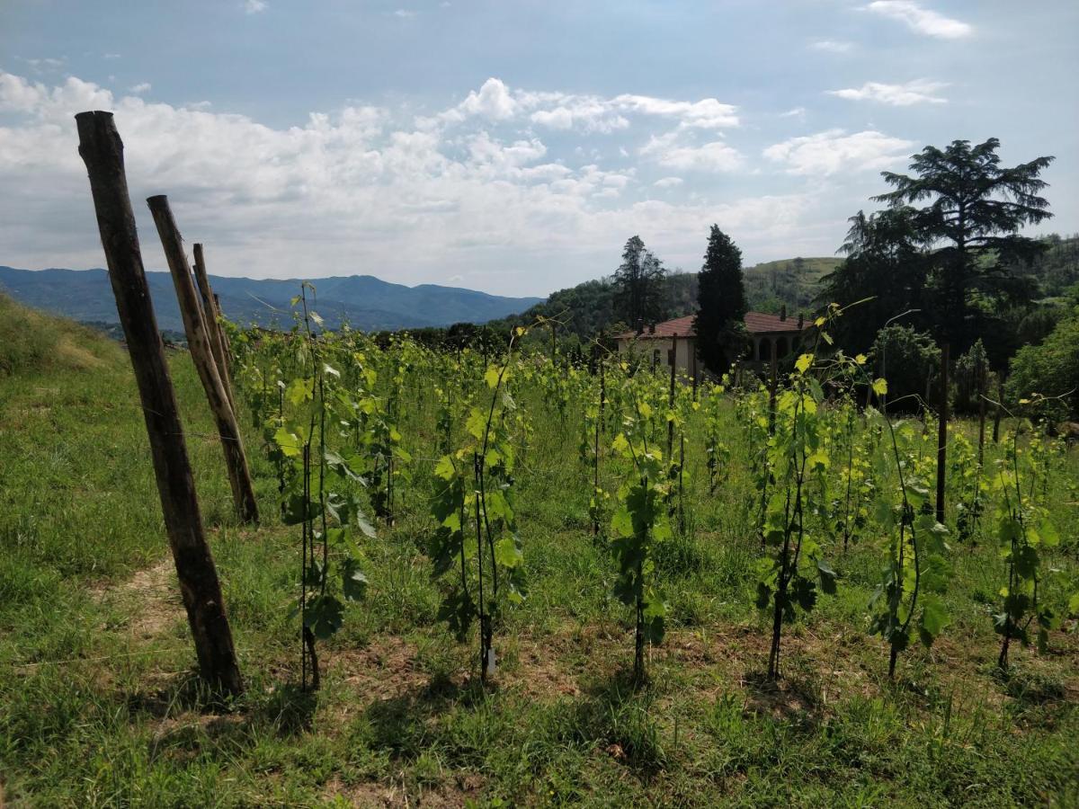 La Valle B&B Cavriglia Εξωτερικό φωτογραφία