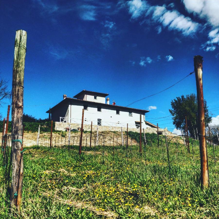 La Valle B&B Cavriglia Εξωτερικό φωτογραφία