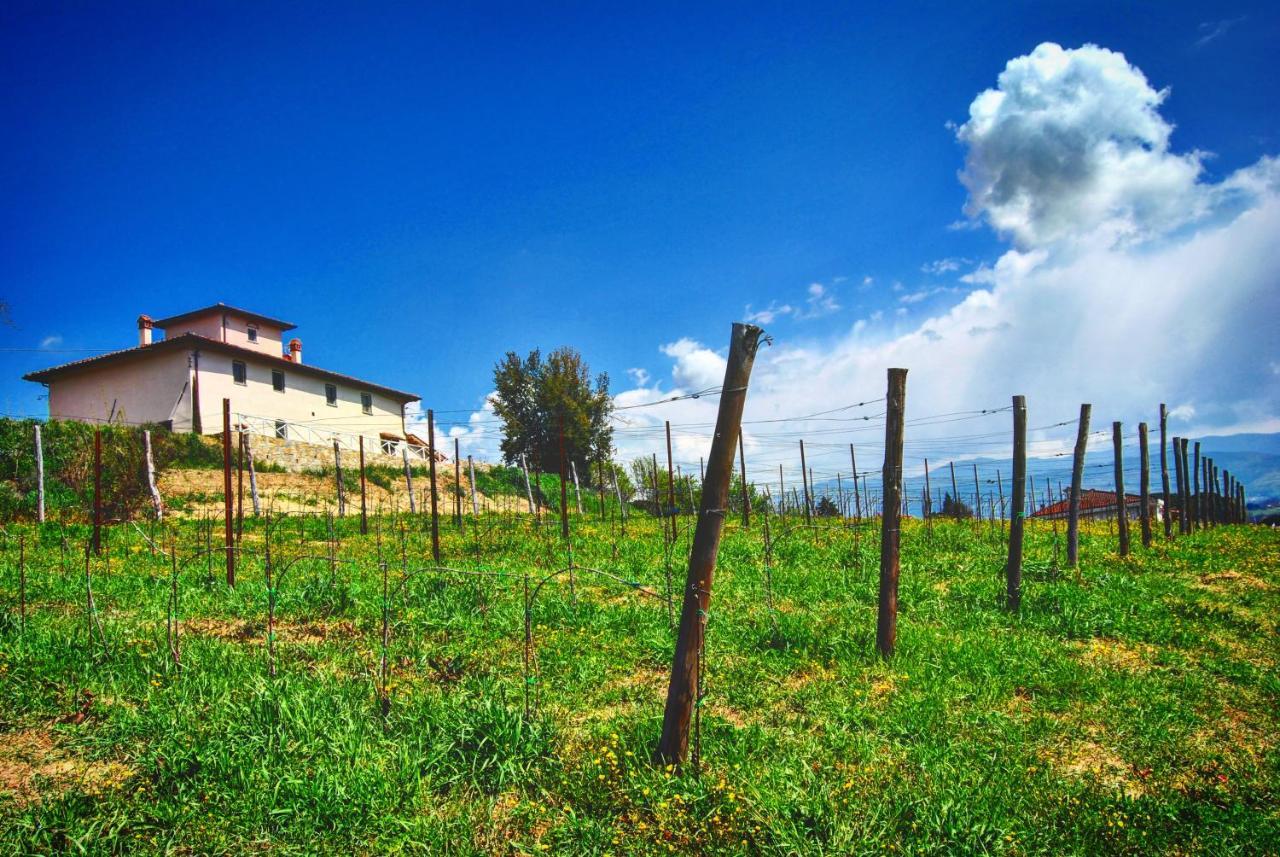 La Valle B&B Cavriglia Εξωτερικό φωτογραφία