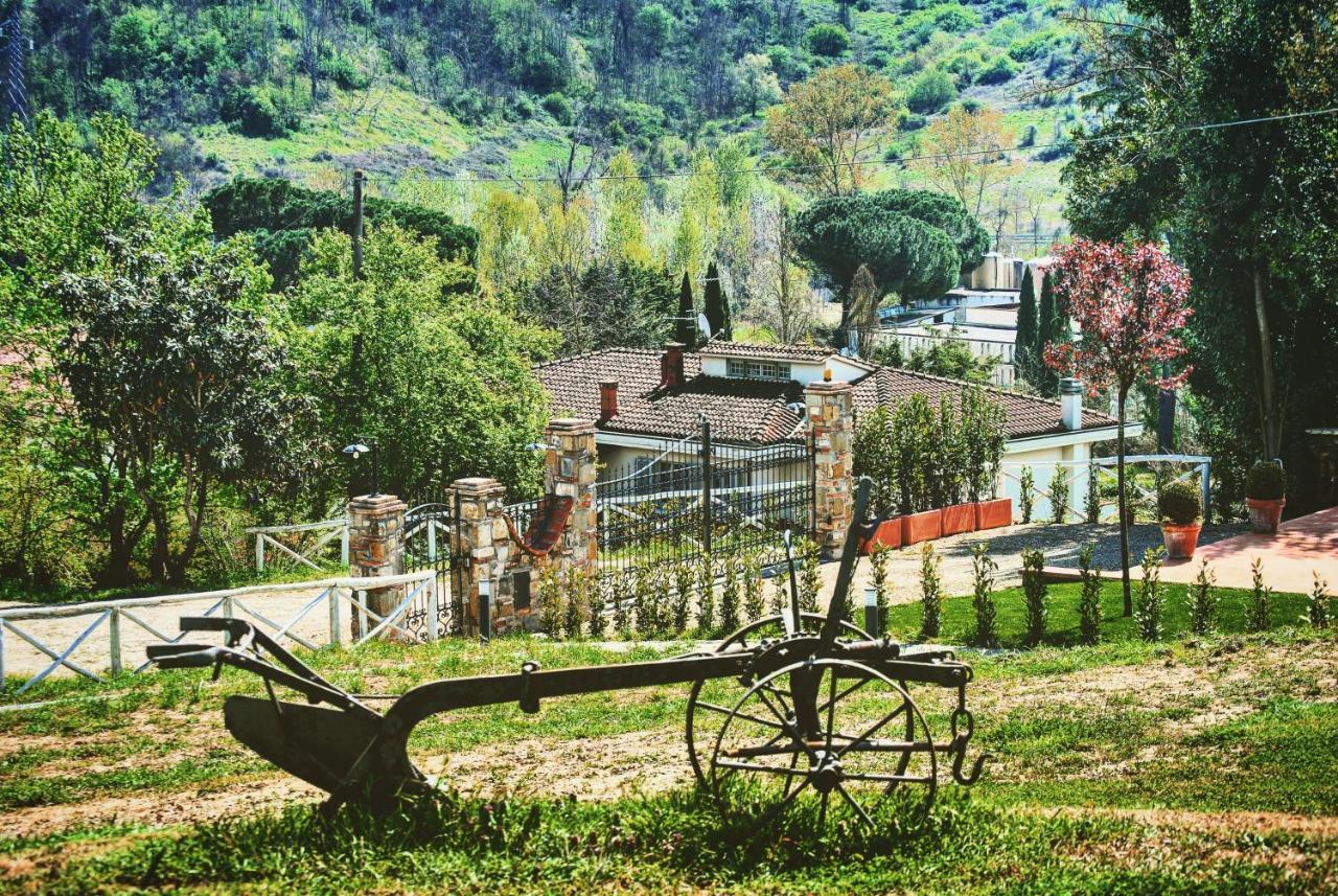La Valle B&B Cavriglia Εξωτερικό φωτογραφία