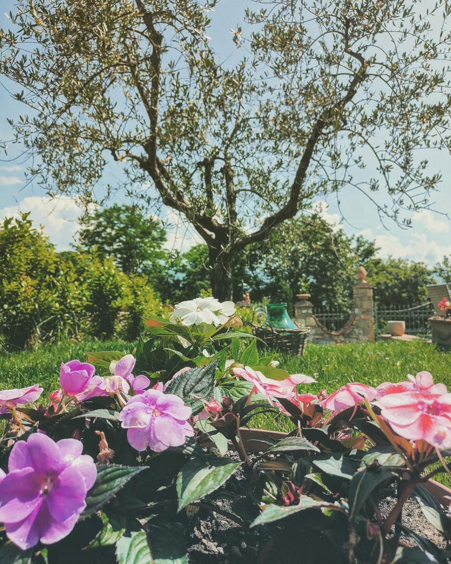 La Valle B&B Cavriglia Εξωτερικό φωτογραφία